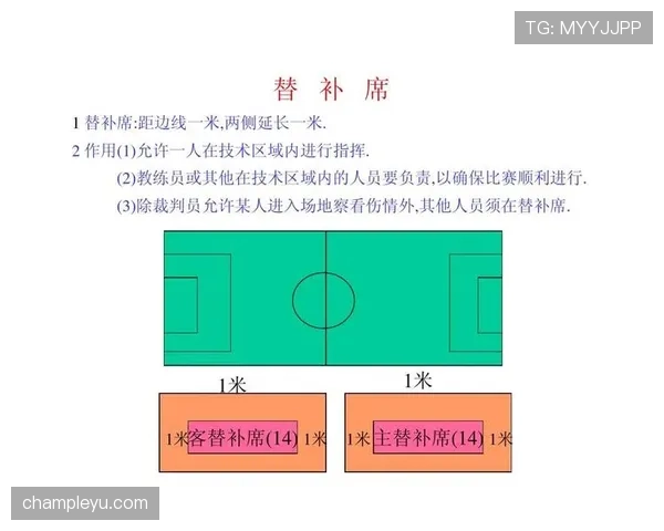 裁判报告在足球比赛中如何记录判罚细节与规则执行情况
